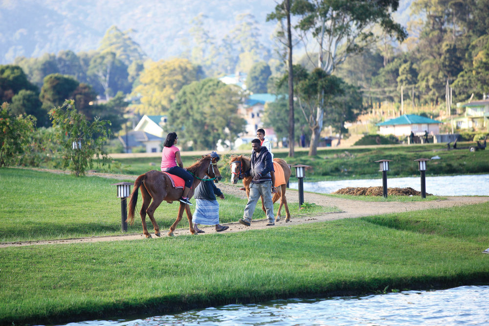 Queenswood Cottage Nuwara Eliya Luaran gambar